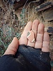 photo thumbnail #10