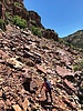 photo thumbnail #12