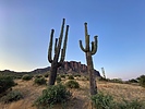 photo thumbnail #10