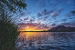 photo thumbnail #9