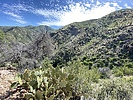 photo thumbnail #12