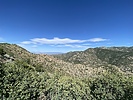 photo thumbnail #13