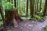 photo thumbnail #12