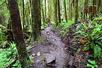 photo thumbnail #13