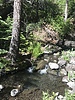 Featured Full Photo