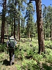 photo thumbnail #5