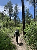 photo thumbnail #7