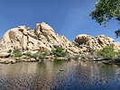 photo thumbnail #1