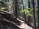 photo thumbnail #6