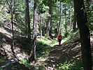 photo thumbnail #8