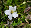 photo thumbnail #15