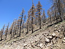 photo thumbnail #4
