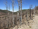 photo thumbnail #8