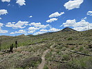 photo thumbnail #6