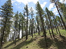 photo thumbnail #7