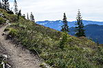 photo thumbnail #6