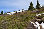 photo thumbnail #11