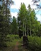 photo thumbnail #4