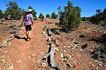 photo thumbnail #3