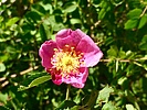 Featured Detail Photo