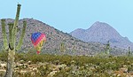 photo thumbnail #5