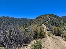 photo thumbnail #1