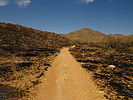 photo thumbnail #7