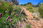 photo thumbnail #4