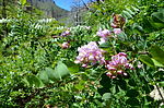 photo thumbnail #9