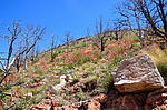 photo thumbnail #11
