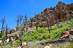 photo thumbnail #15