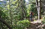 photo thumbnail #11