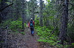 photo thumbnail #13