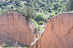 photo thumbnail #7
