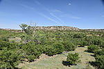 photo thumbnail #11