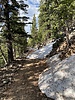photo thumbnail #7