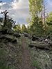 photo thumbnail #9