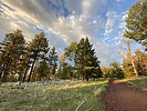 photo thumbnail #12