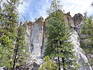 photo thumbnail #11