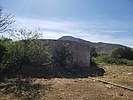 Featured Full Photo