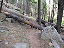 photo thumbnail #8