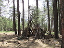 photo thumbnail #11