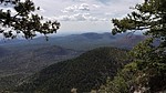 photo thumbnail #4