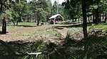 photo thumbnail #3
