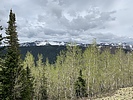 photo thumbnail #7
