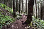 photo thumbnail #1