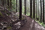 photo thumbnail #3