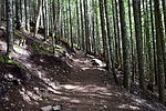 photo thumbnail #4