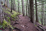 photo thumbnail #8