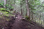 photo thumbnail #13